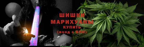 ГАЛЛЮЦИНОГЕННЫЕ ГРИБЫ Михайловка
