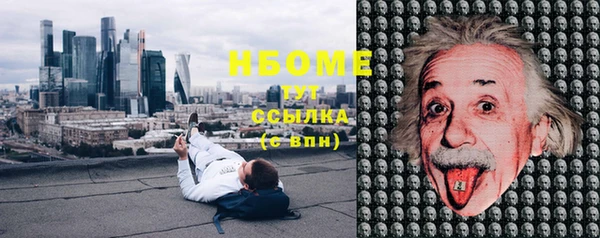 соль ск Михайлов