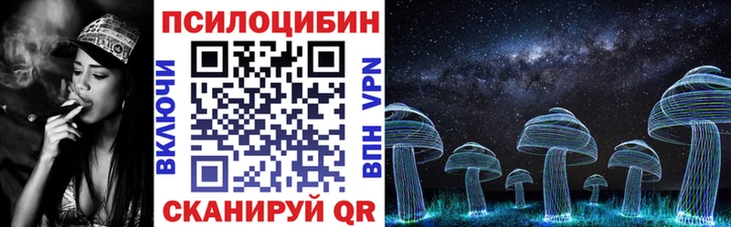 Купить где Фатеж Галлюциногенные грибы Magic Shrooms