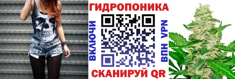 Бошки Шишки сатива Фатеж